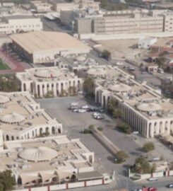 Bayan School